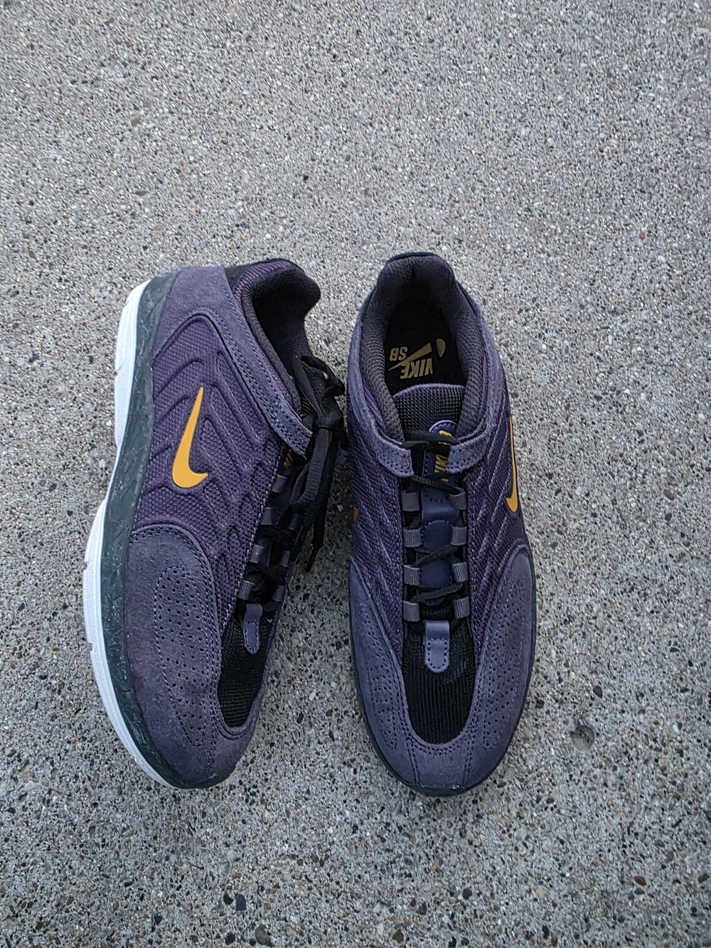 Nike Vertebrae SB 'Dark Raisin Sneaker Youth Boys 6